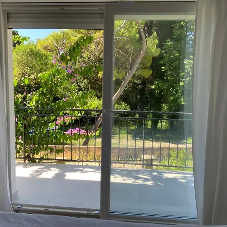 Apartment Park View